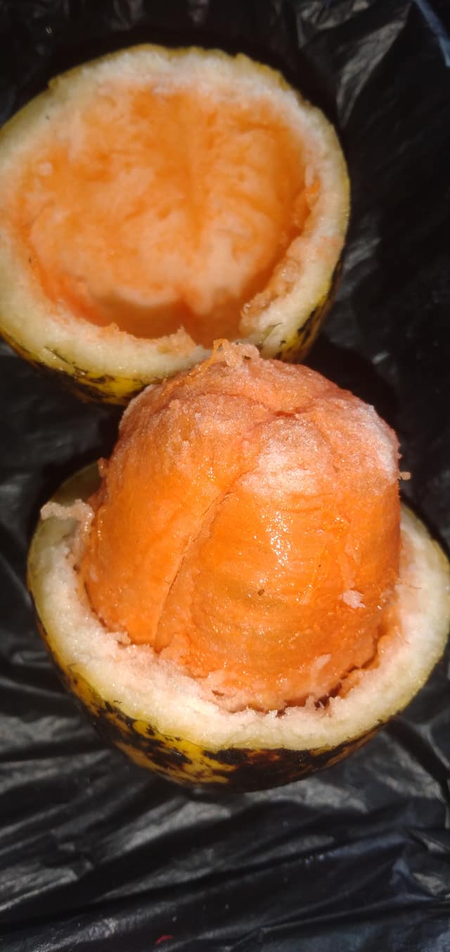 Melothria dulcis