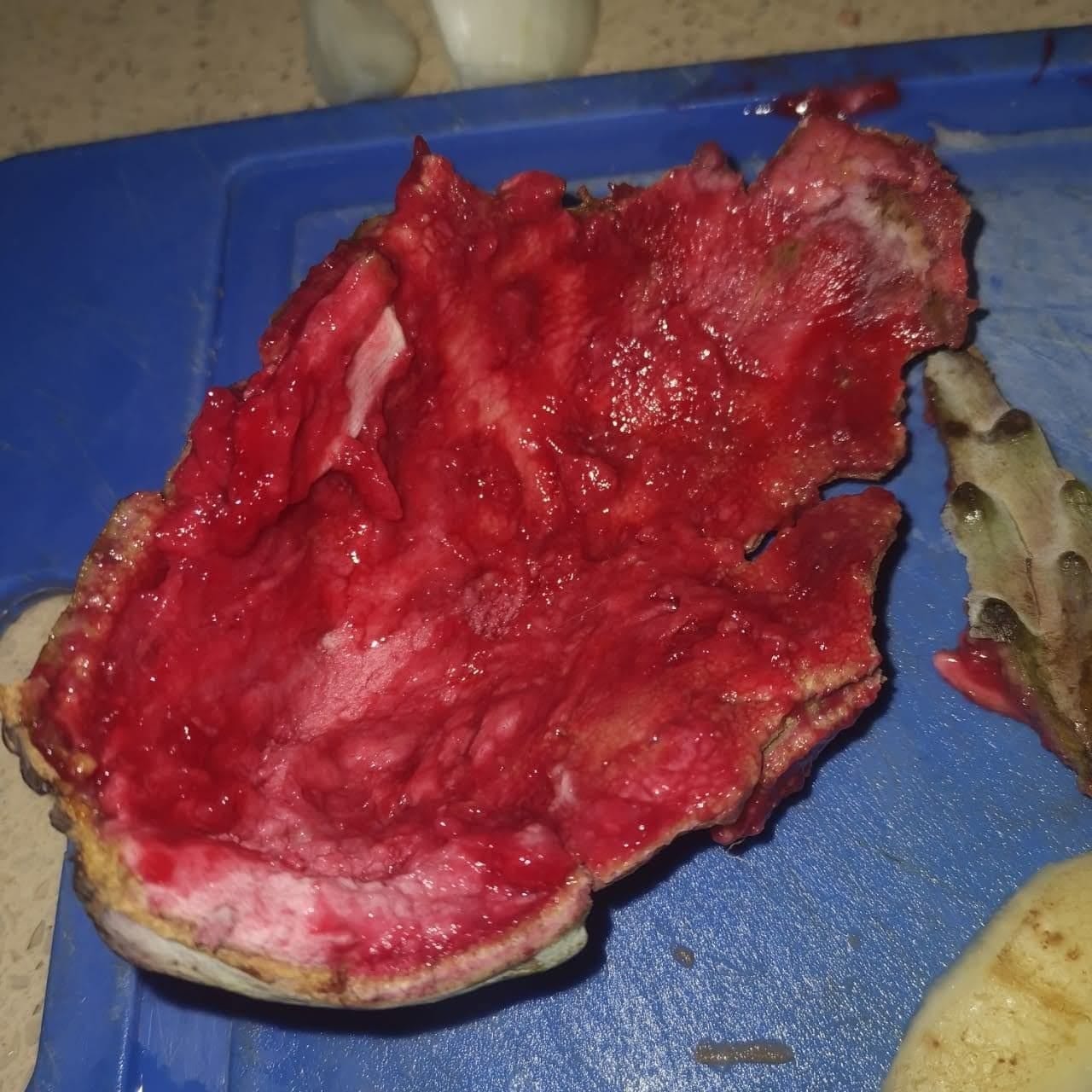 Annona macroprophyllata "Red Flesh"