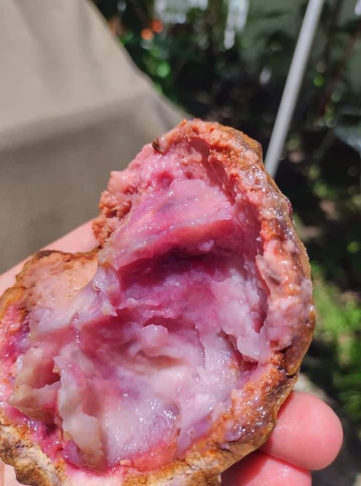 Annona macroprophyllata "Morada"