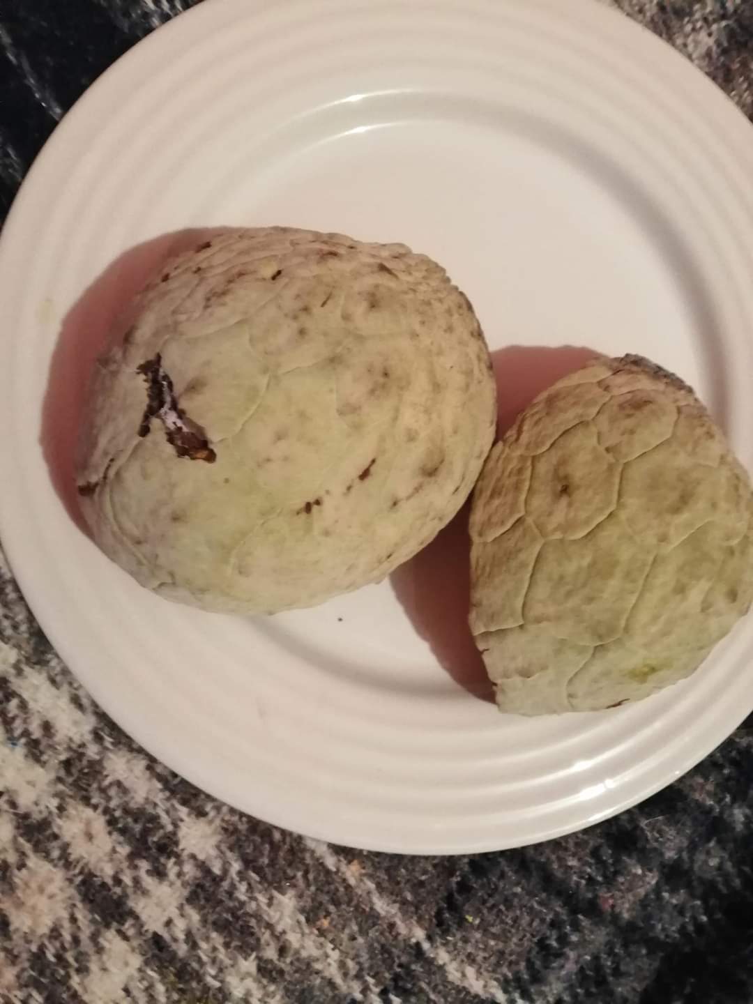 Annona macroprophyllata "Sweet Coral"
