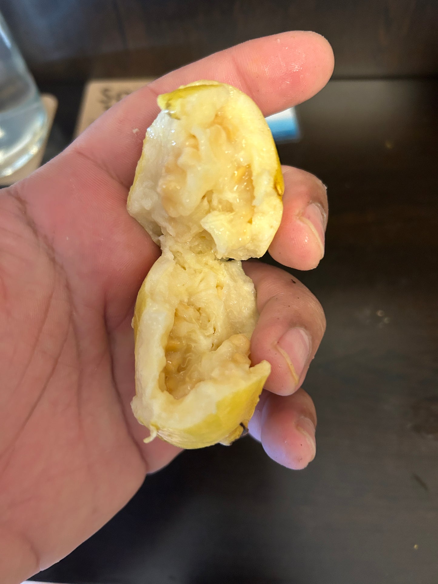Psidium sp. "Limo Sweet"