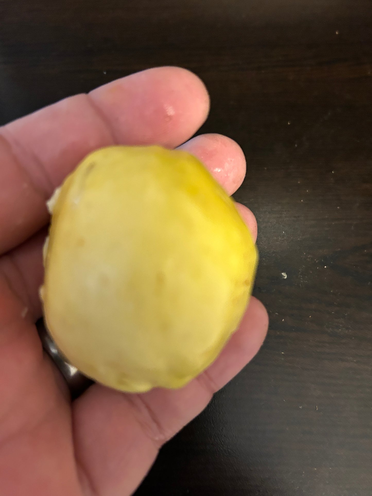 Psidium sp. "Limo Sweet"
