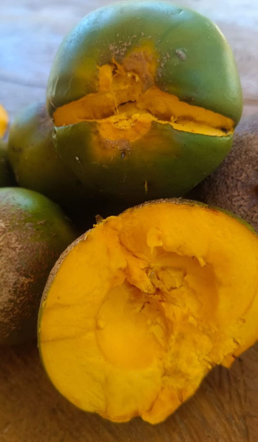 Pouteria arguacoensium