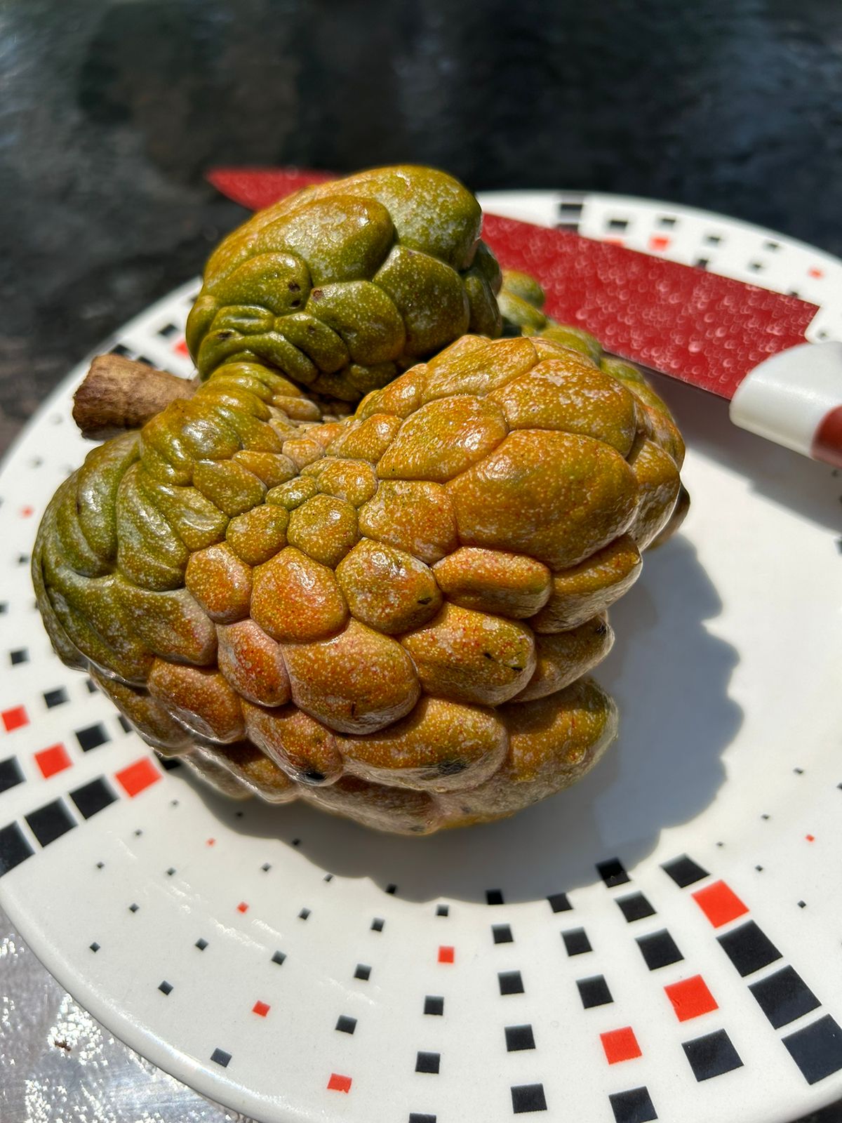 Annona reticulata "Pink Turkey Head"