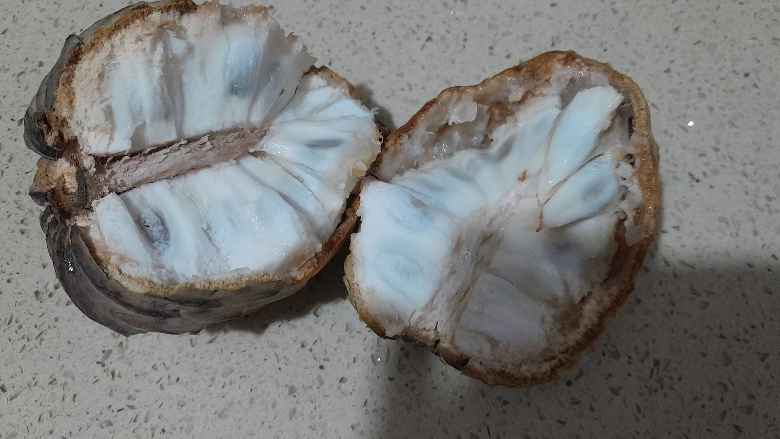 Annona Macroprophyllata