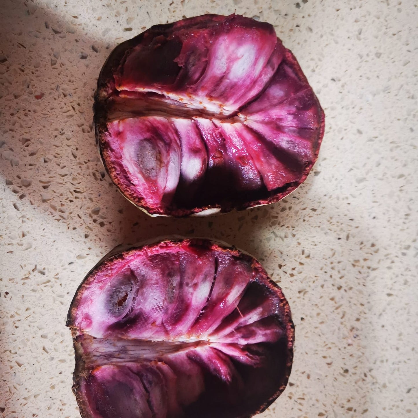 Annona macroprophyllata "Berry Custard"