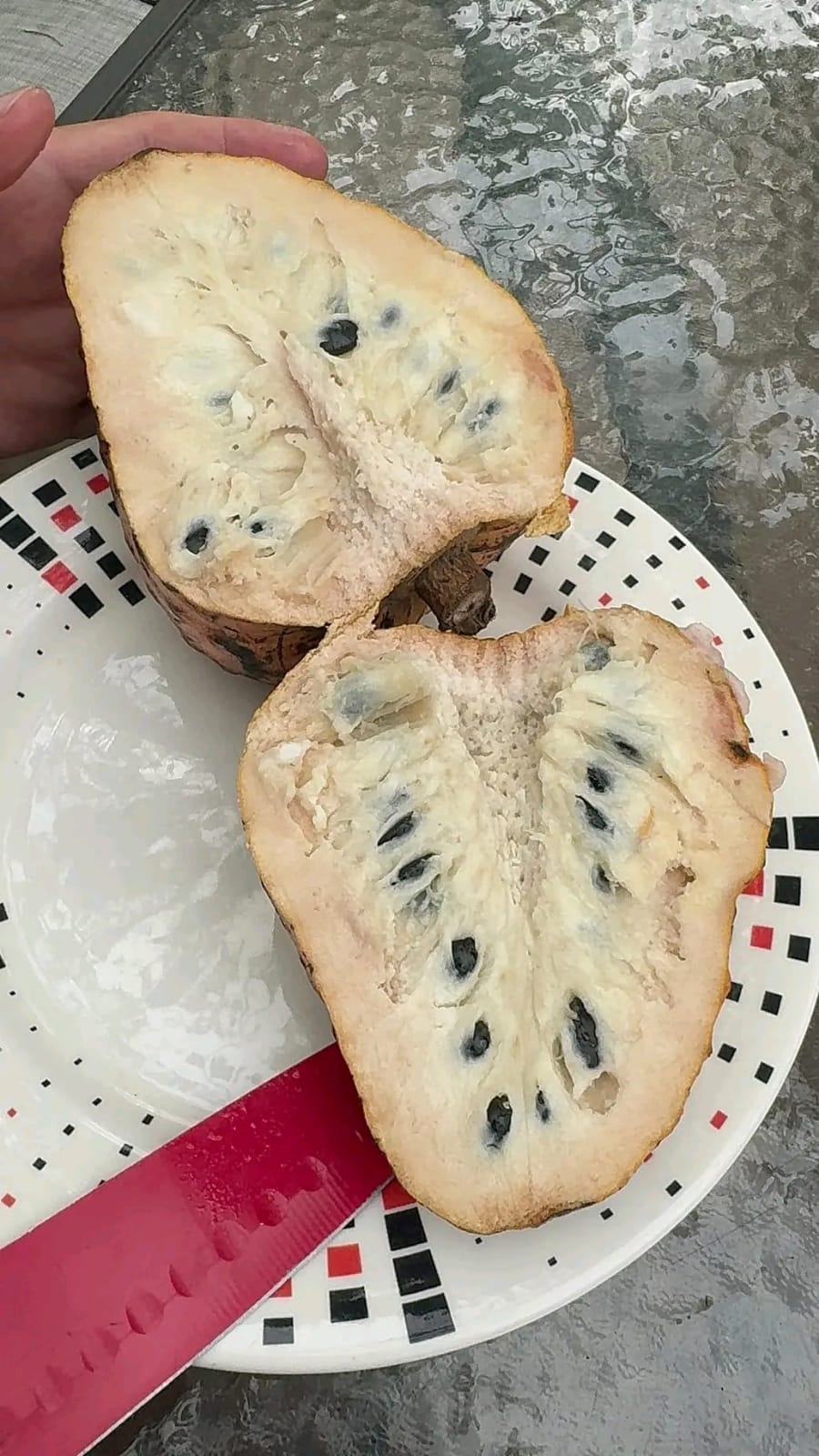 Annona reticulata "Great Orange"