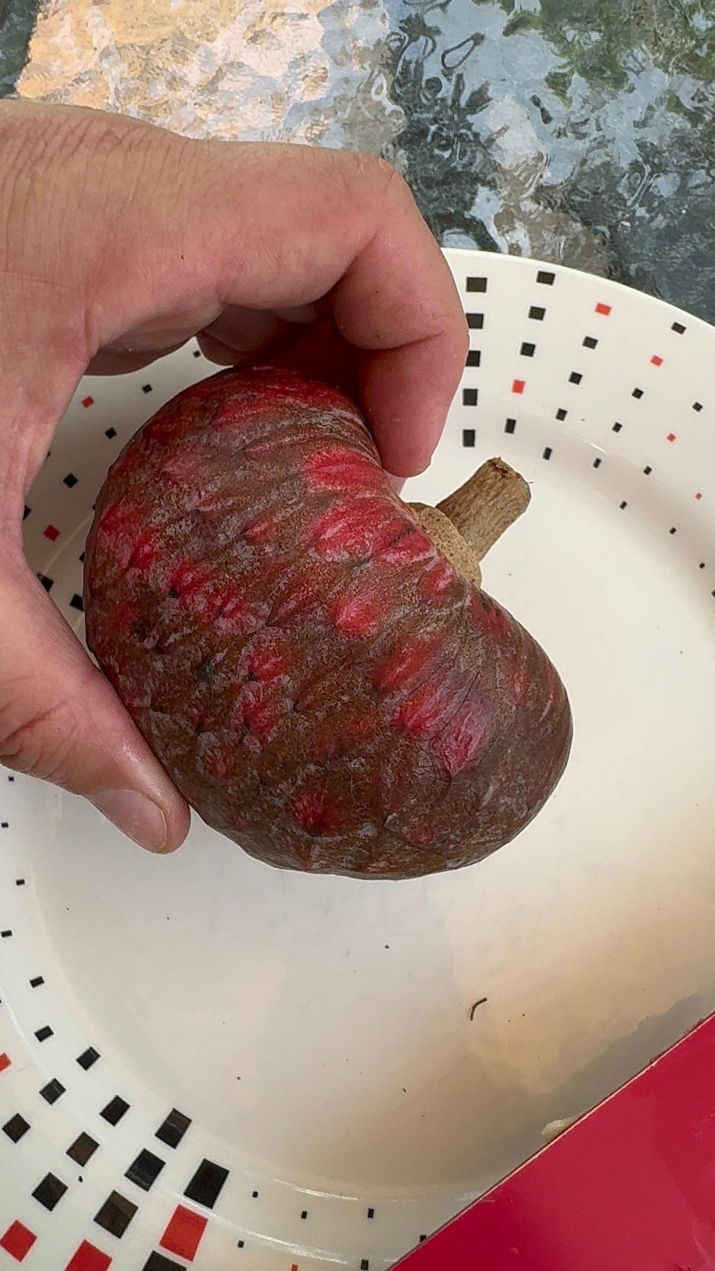 Annona reticulata "Red Heart"