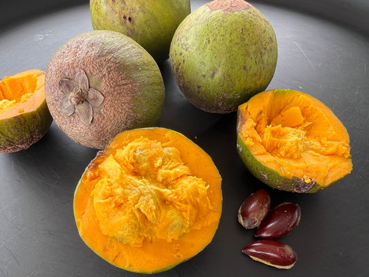 Pouteria sp. “Zapote de Necoclí”